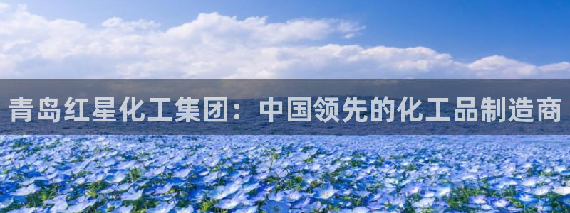 球盟会登陆入口：青岛红星化工集团：中国领先的化工品制造商