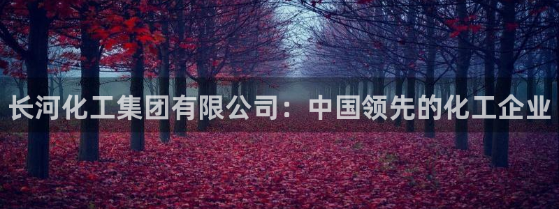 球盟会体验金球奖吗：长河化工集团有限公司：中国领先的化工企业