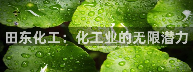 球盟会唯一