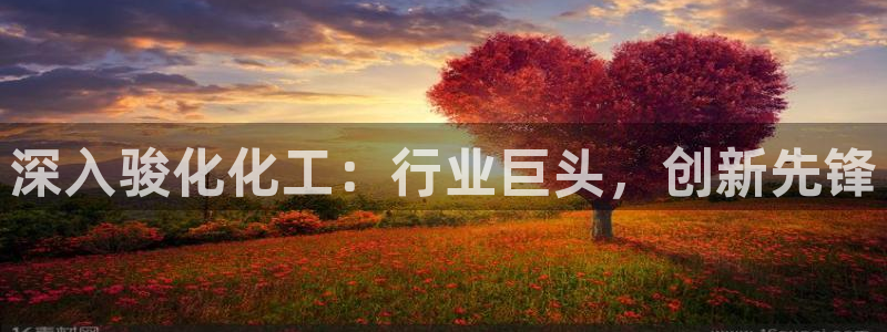 球盟会app最新地址下载安装