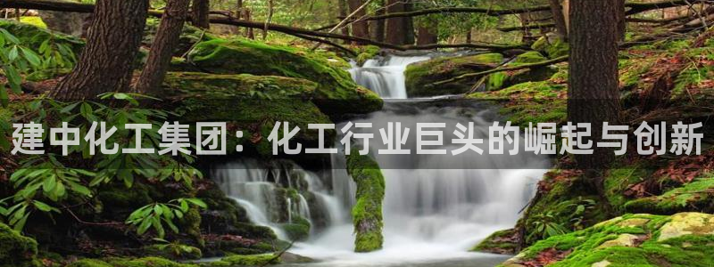 球盟会官网网页版