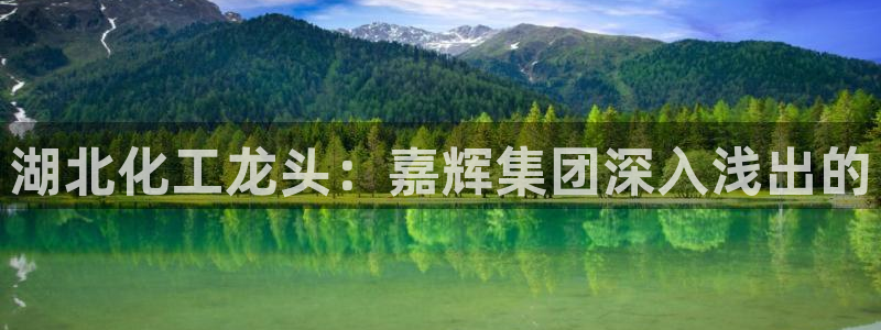 球盟会里面有打牌的嘛知乎