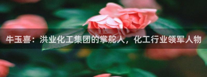 千亿球盟会乐玩：牛玉喜：洪业化工集团的掌舵人，化工行业领军人