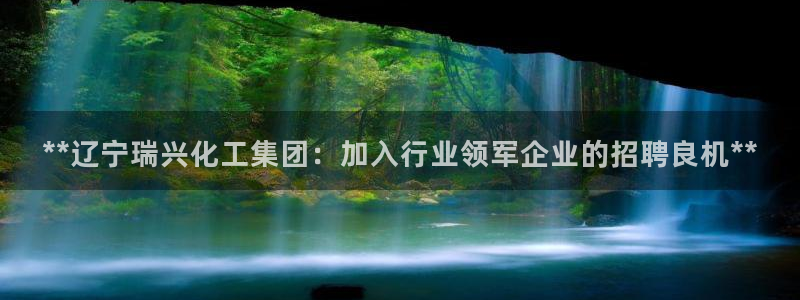 球盟会app最新地址下载：**辽宁瑞兴化工集团：加入行业领军