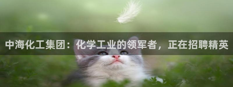 球盟会最新地址备用：中海化工集团：化学工业的领军者，正在招聘
