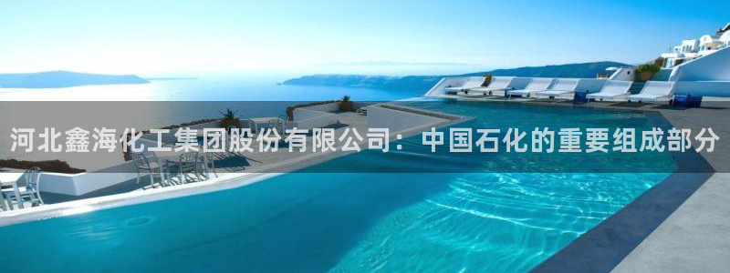 球盟会：河北鑫海化工集团股份有限公司：中国石化的重要组成部分