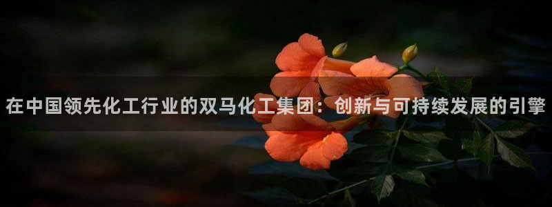 球盟会用的客服聊天是哪个软件：在中国领先化工行业的双马化工集
