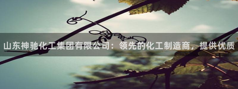 球盟会qmh电子网页版登录：山东神驰化工集团有限公司：领先的