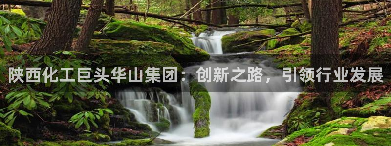 球盟会综合app下载
