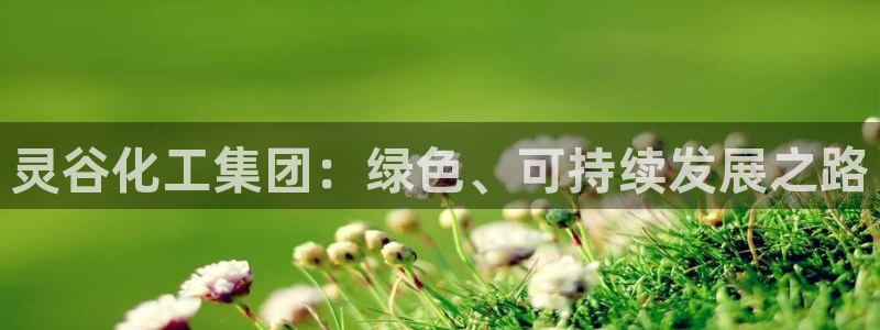 球盟会几点玩合适