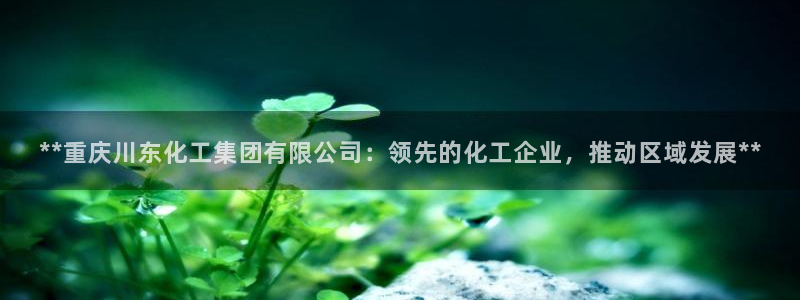 球盟会官方下载