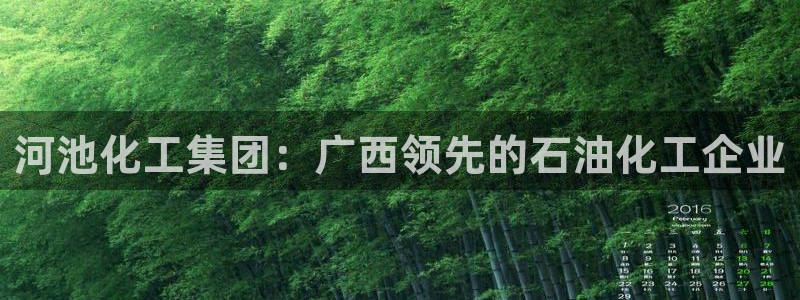 球盟会在线官网：河池化工集团：广西领先的石油化工企业