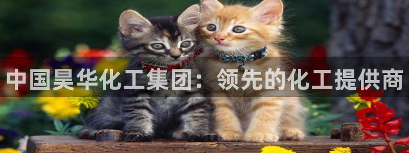 球盟会网址：中国昊华化工集团：领先的化工提供商