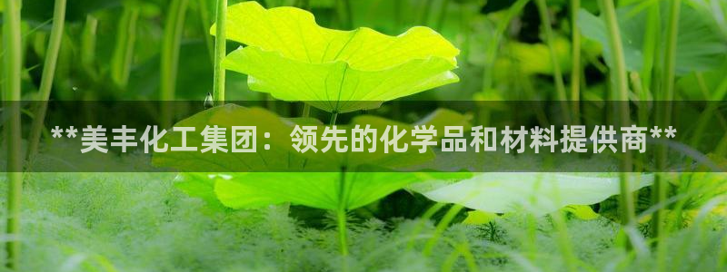 球盟会官方网页登录：**美丰化工集团：领先的化学品和材料提供