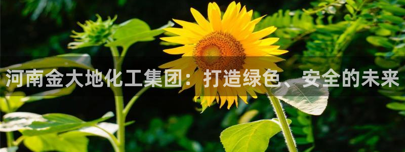 球盟会娱乐平台：河南金大地化工集团：打造绿色、安全的未来