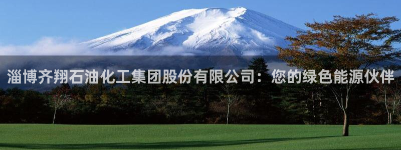 球盟会地址：淄博齐翔石油化工集团股份有限公司：您的绿色能源伙
