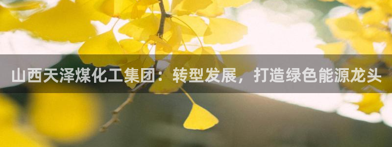 球盟会游戏