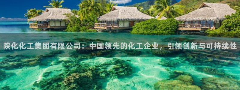 球盟会中国网页登录：陕化化工集团有限公司：中国领先的化工企业