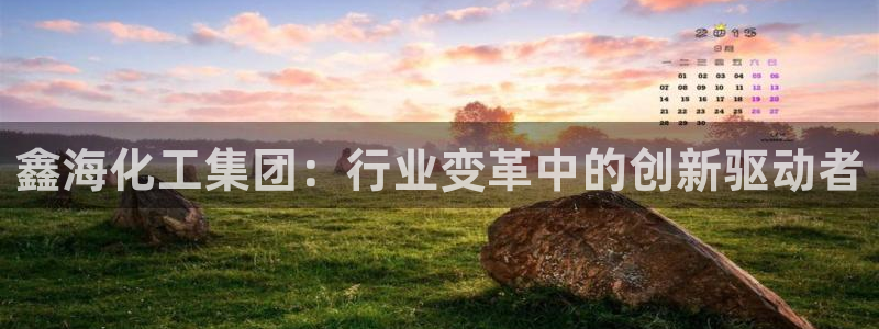 球盟会官方入口：鑫海化工集团：行业变革中的创新驱动者