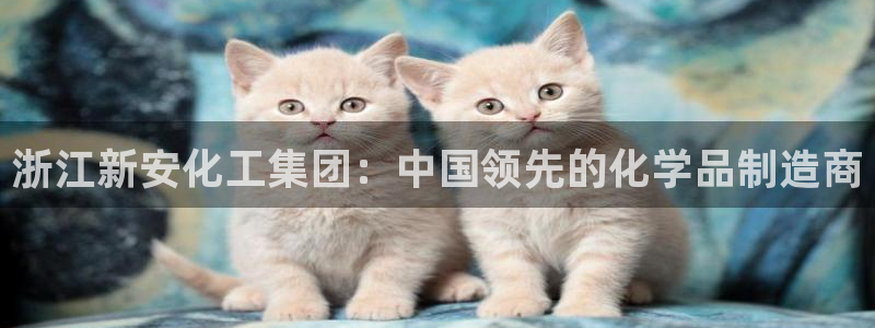 球盟会入口：浙江新安化工集团：中国领先的化学品制造商