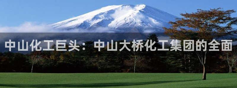 球盟会官网入口：中山化工巨头：中山大桥化工集团的全面