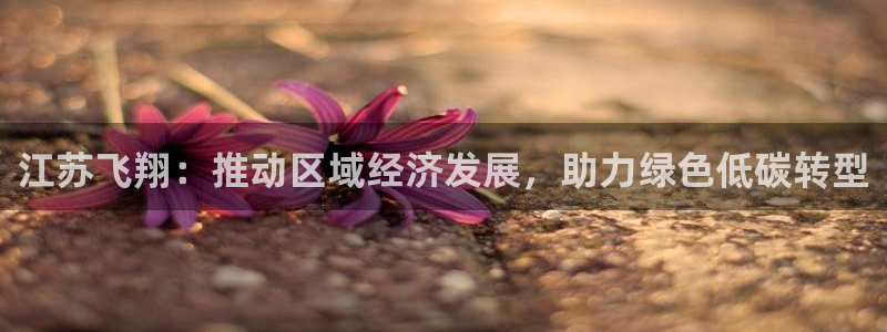球盟会app最新地址在哪找：江苏飞翔：推动区域经济发展，助力