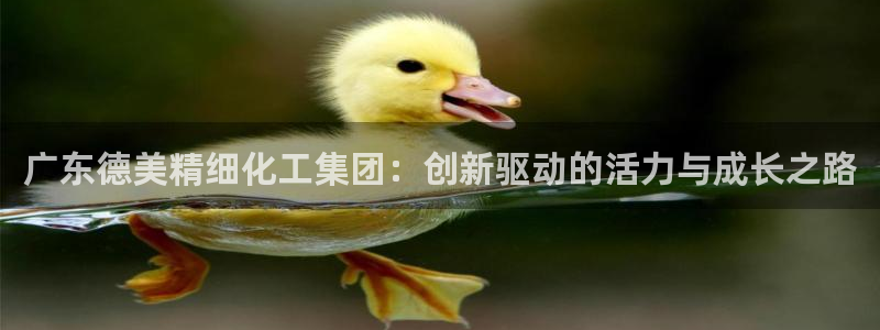 球盟会官方网站入口：广东德美精细化工集团：创新驱动的活力与成
