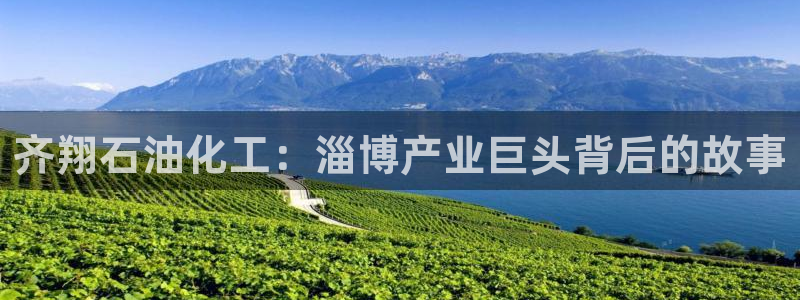 球盟会和中欧会的区别