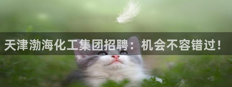 球盟会优惠券