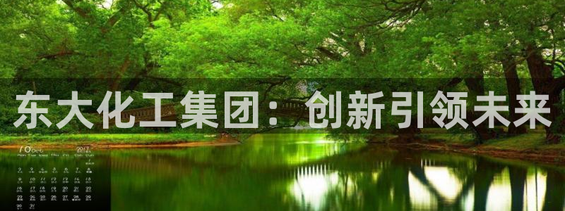球盟会官方网入口：东大化工集团：创新引领未来