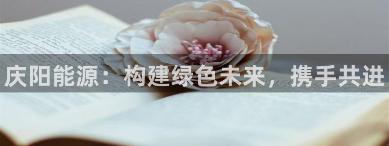 球盟会封禁：庆阳能源：构建绿色未来，携手共进