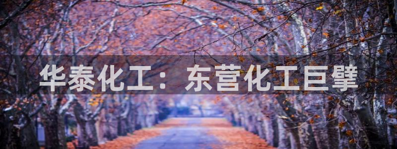 球盟会APP最新地址：华泰化工：东营化工巨擘