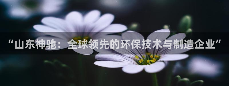 球盟会邮箱：“山东神驰：全球领先的环保技术与制造企业”