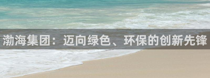 球盟会网页登录：渤海集团：迈向绿色、环保的创新先锋