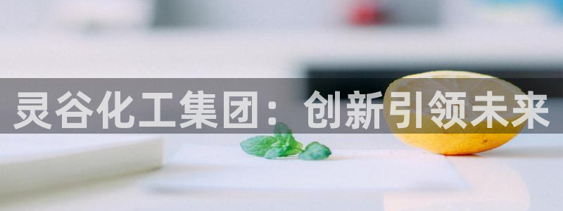 球盟会官方客服：灵谷化工集团：创新引领未来