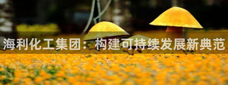 球盟会官方网站入口：海利化工集团：构建可持续发展新典范