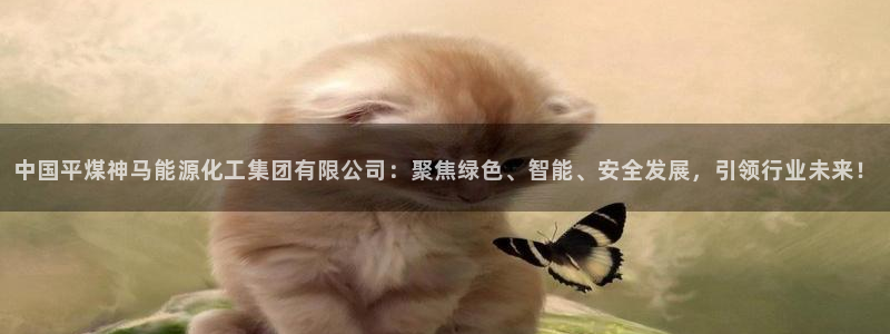 球盟会官方入口：中国平煤神马能源化工集团有限公司：聚焦绿色、