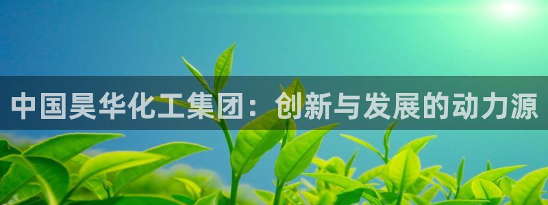 球盟会中国网页登录：中国昊华化工集团：创新与发展的动力源