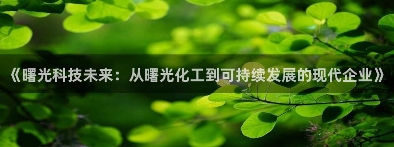 球盟会娱乐平台：《曙光科技未来：从曙光化工到可持续发展的现代