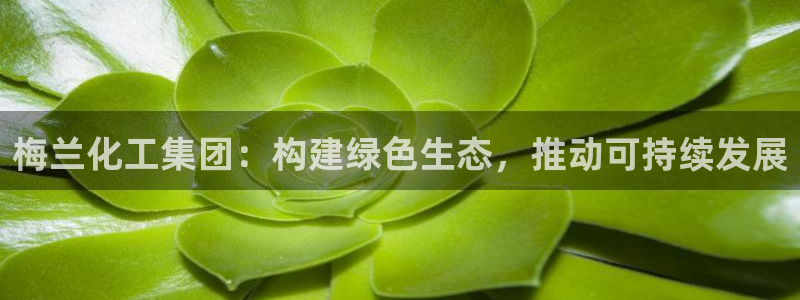 球盟会网址：梅兰化工集团：构建绿色生态，推动可持续发展