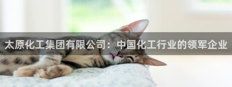 球盟会头号玩家