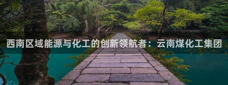 球盟会有没有黑单的：西南区域能源与化工的创新领航者：云南煤化