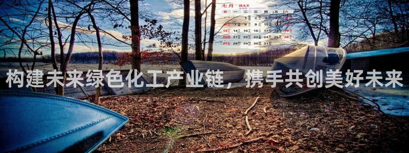 球盟会app网址多少号：构建未来绿色化工产业链，携手共创美好