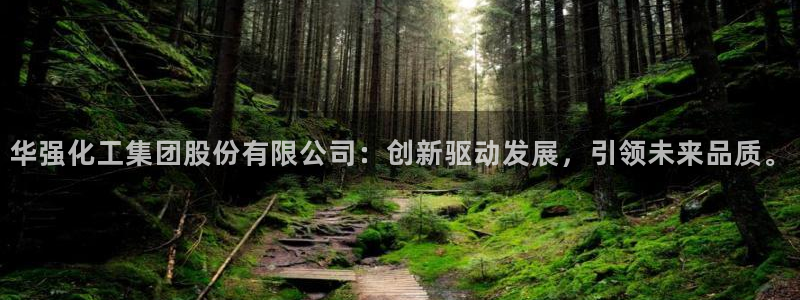 球盟会官方登录平台：华强化工集团股份有限公司：创新驱动发展，