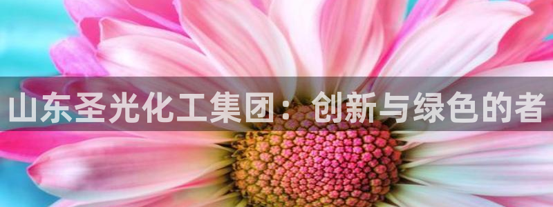 球盟会官方：山东圣光化工集团：创新与绿色的者