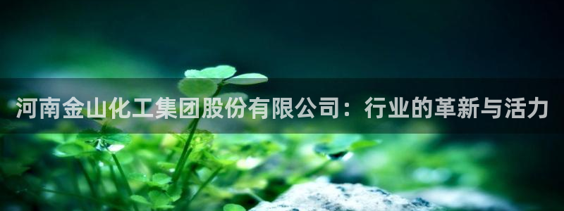 球盟会qmh - 球盟会官方网站：河南金山化工集团股份有限公