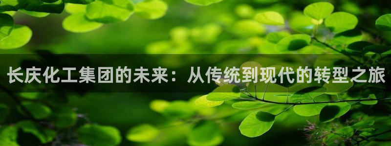 球盟会福利码2023最简单三个步骤：长庆化工集团的未来：从传