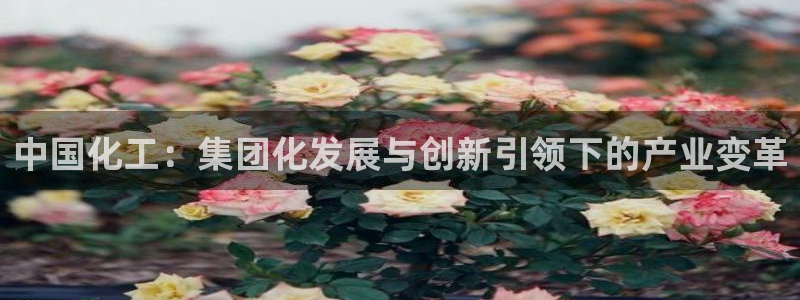 球盟会有限公司怎么样：中国化工：集团化发展与创新引领下的产业