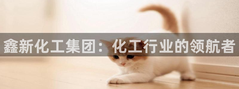 球盟会进不去