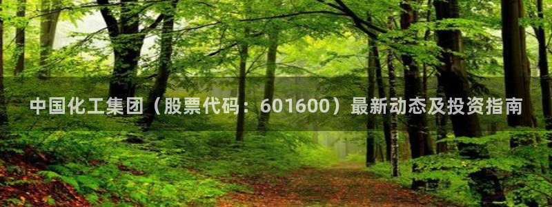 球盟会官网